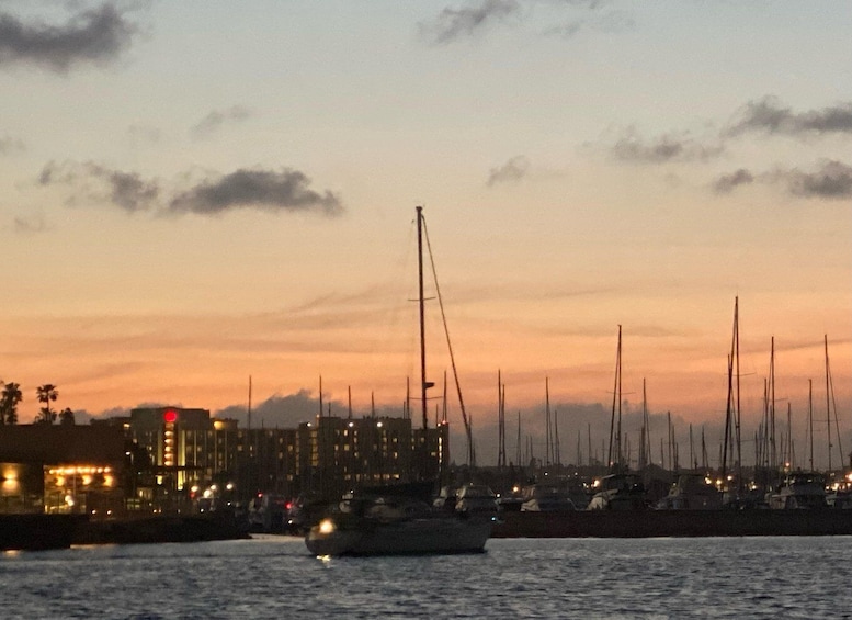Picture 20 for Activity San Diego: Sunset and Day Sailing Excursion with Drinks