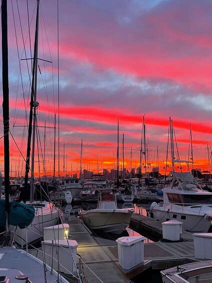 Picture 49 for Activity San Diego: Sunset and Day Sailing Excursion with Drinks