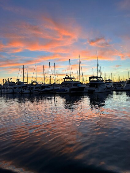 Picture 48 for Activity San Diego: Sunset and Day Sailing Excursion with Drinks