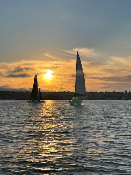 Picture 3 for Activity San Diego: Sunset and Day Sailing Excursion with Drinks