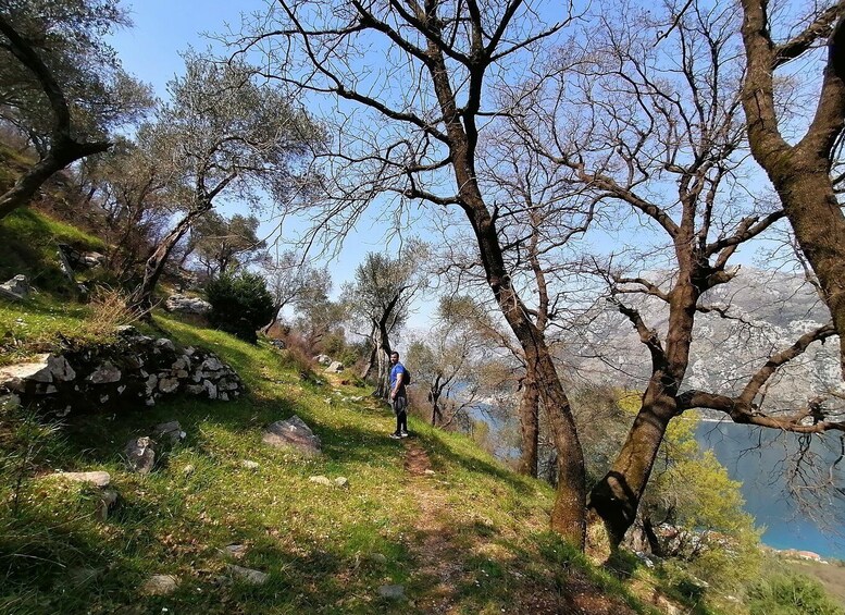 Picture 5 for Activity Kotor: Coastal Biking and Hiking Guided Tour