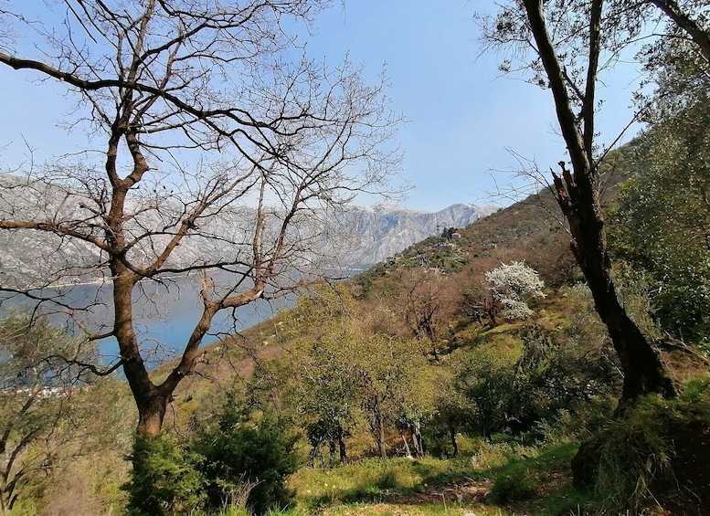 Picture 4 for Activity Kotor: Coastal Biking and Hiking Guided Tour