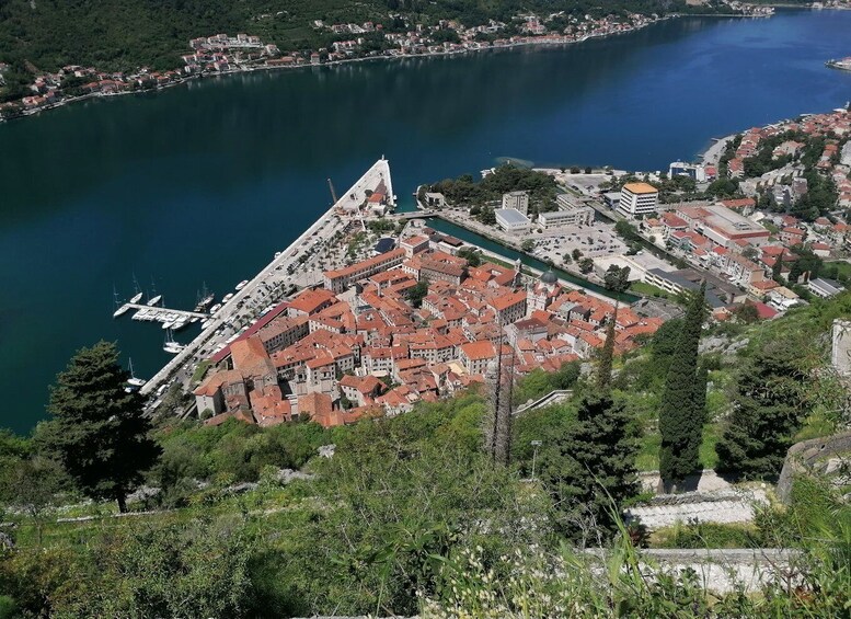 Picture 5 for Activity Kotor: Old Caravan Trail Guided Hike with Cheese Tasting