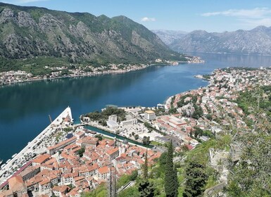 Kotor: Caminata guiada por el Camino de las Caravanas Antiguas con degustac...