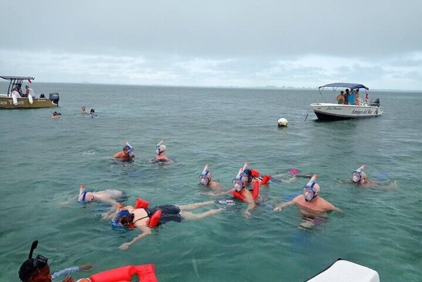 Happy group of Snorkelers 