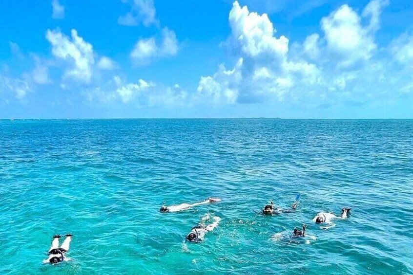 Relaxing Snorkel at Hol Chan Marine Reserve 