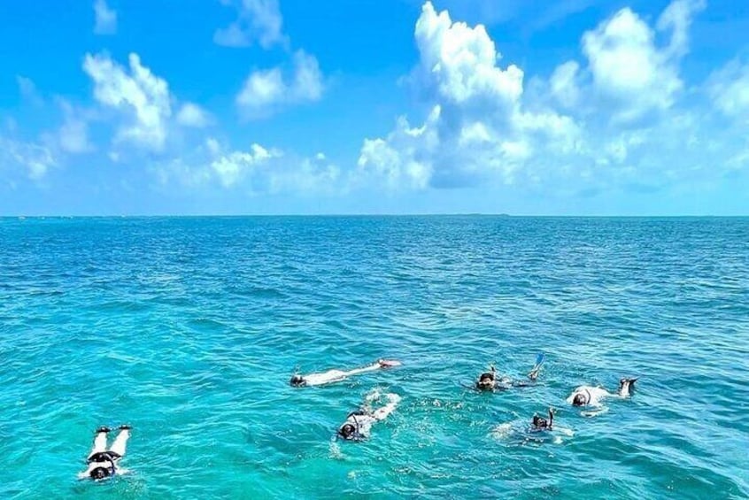 Relaxing Snorkel at Hol Chan Marine Reserve