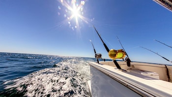 Private Guided Light-Tackle Fishing Adventure