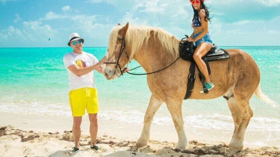 Horseback Riding with Pickup and Drop-off from Sharm El Sheikh