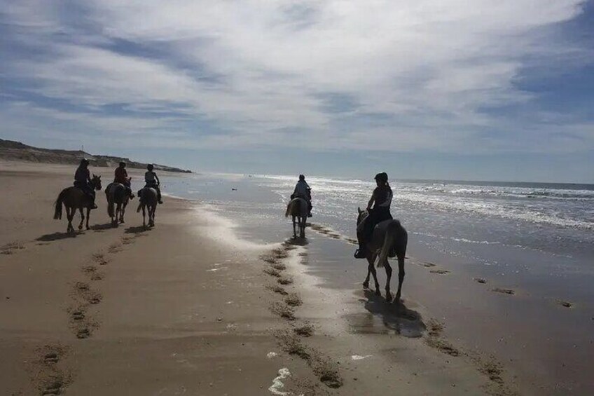 Horse Riding on the beach With Transfer From Sharm El Sheikh