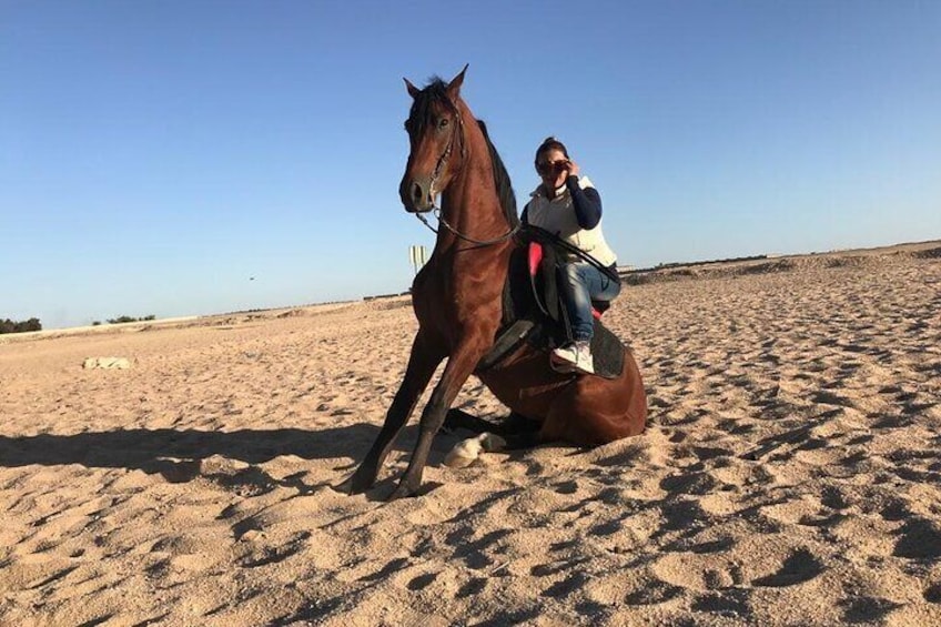 Horse Riding on the beach From Sharm El Sheikh