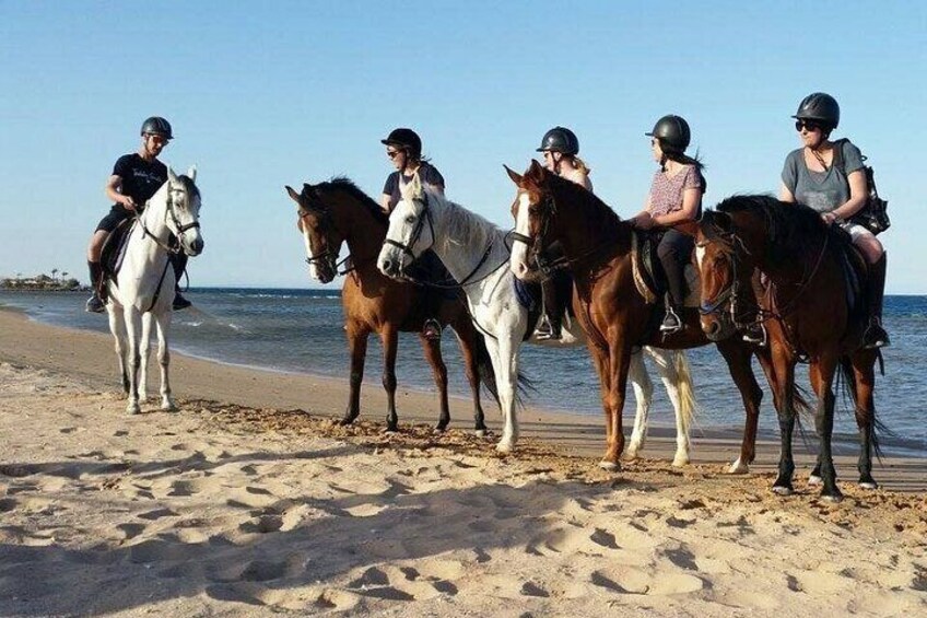 Horse Riding on the beach From Sharm El Sheikh
