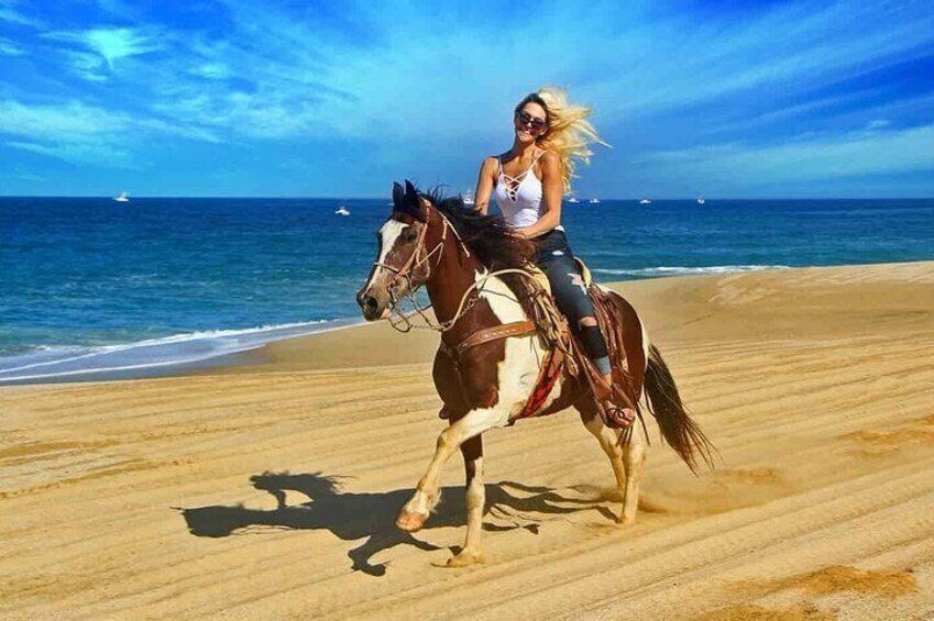 Horse Riding on the beach From Sharm El Sheikh