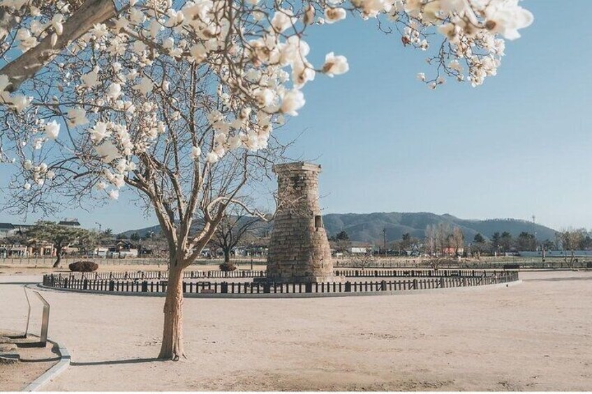Discover the Timeless Beauty of Gyeongju with a Private Tour