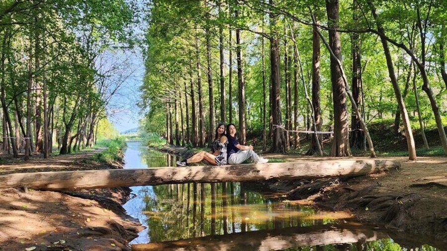 Private Gyeongju Tour - Explore Gyeongju UNESCO Sites