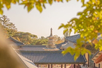 Gyeongju Private Customised Tour: Uncover the Eternal Beauty