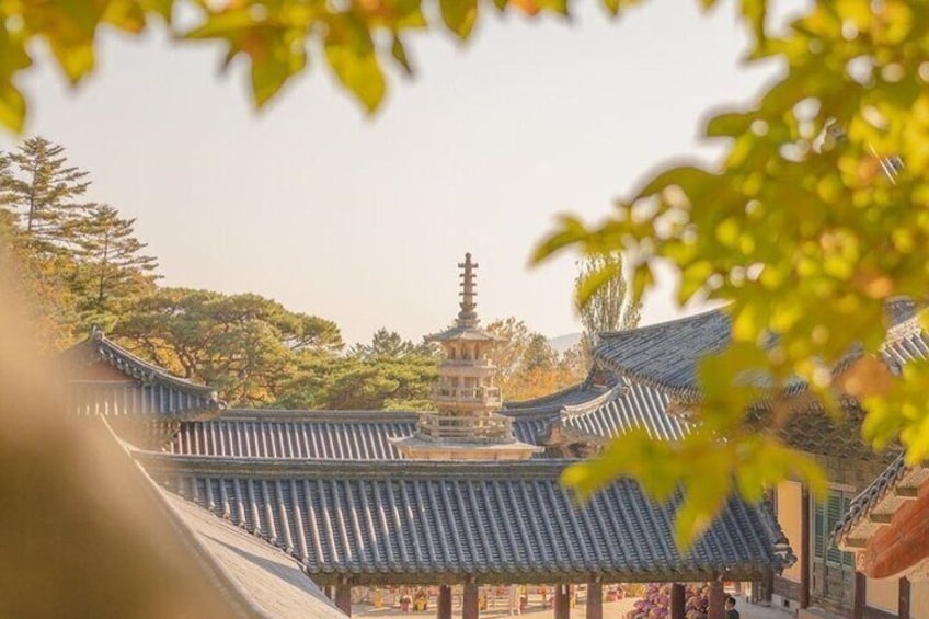 Discover the Timeless Beauty of Gyeongju with a Private Tour