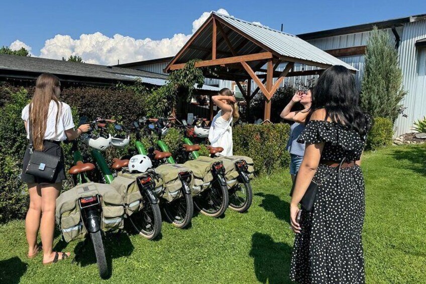 Kelowna E-Bike Bee Tour, Tastings, Organic Lunch & Audio Guide