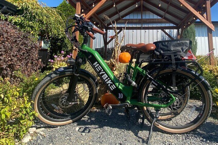 Kelowna E-Bike Bee Tour with Tastings, Lunch & Audio Guide