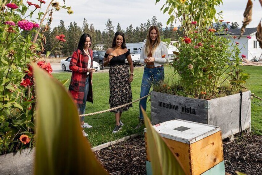 Kelowna E-Bike Bee Tour, Tastings, Organic Lunch & Audio Guide