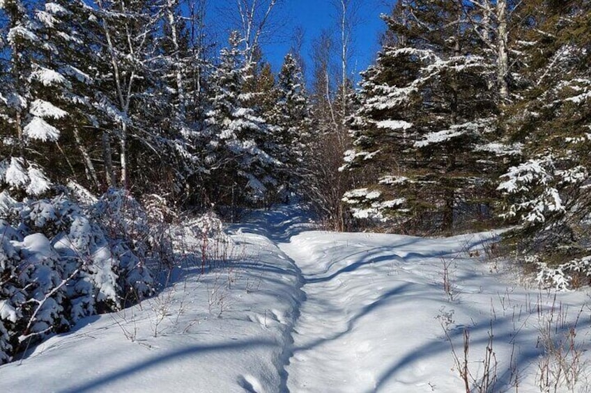 Hok skiing introduction (Two Harbors, Larsmont Cottages)