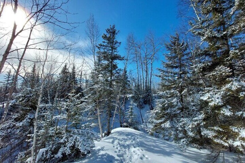 Hok skiing introduction (Two Harbors, Larsmont Cottages)