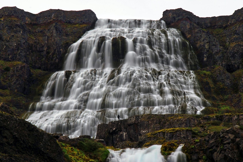 Dynjandi Waterfall & Icelandic Farm Tour from Isafjordur