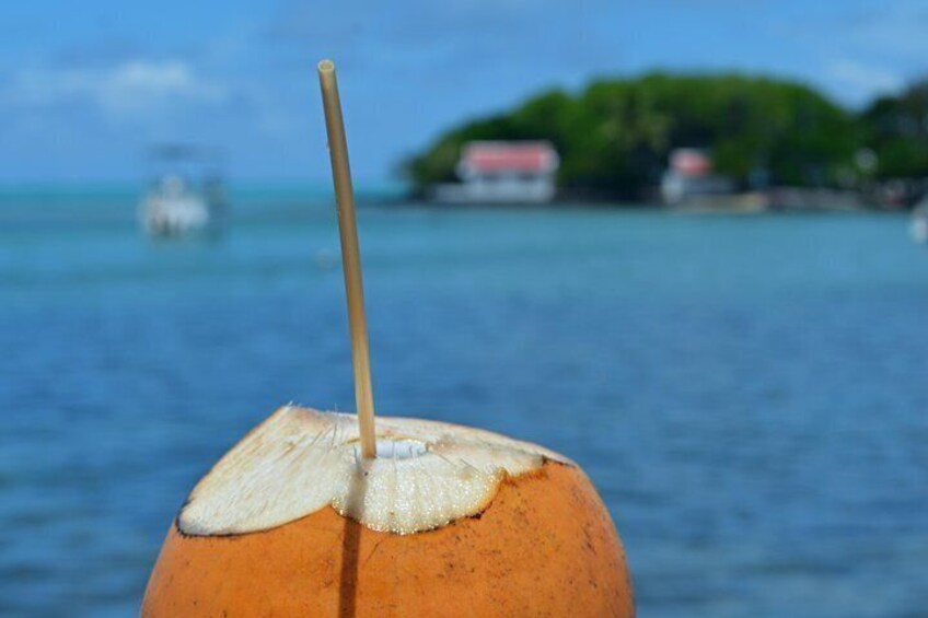 Fresh coconut on the waterfront