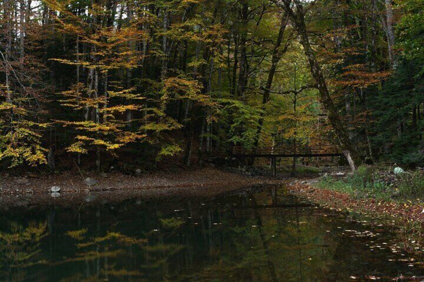 Biogradska Gora NAtonal PArk