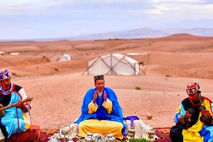 Dinner and Camel Ride under the Starry Sky of Agafay Desert