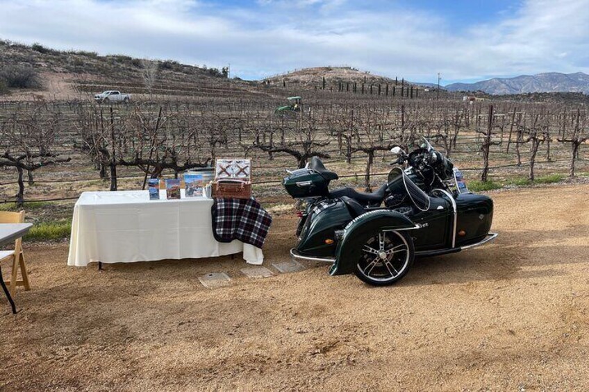 Private Sidecar Tour w/ Optional Wine Tour in Arizona 