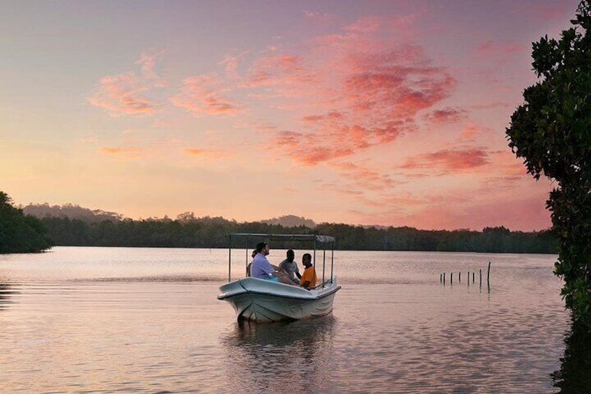 Sri Lanka Private Koggala Lake and Temple Tour