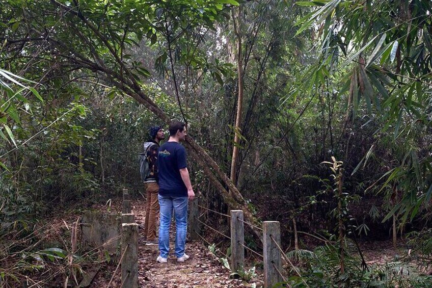 National Park Walk