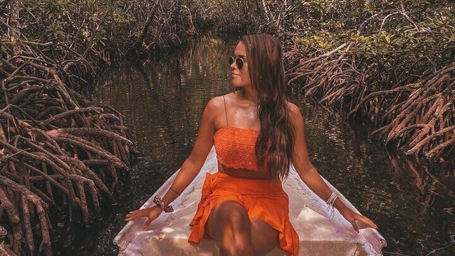 Mangroves of Madu Ganga tour with Boat Ride