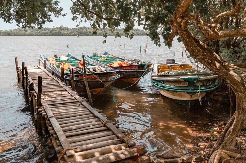 Mangroves of Madu Ganga tour with Boat Ride