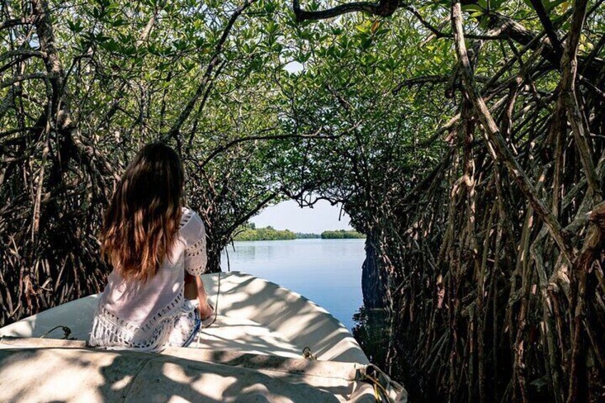 Mangroves of Madu Ganga tour with Boat Ride