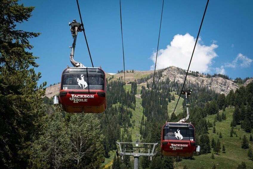 During the summer peak season the sightseeing ticket includes the Tram as well as both the Bridger and Sweetwater Gondolas