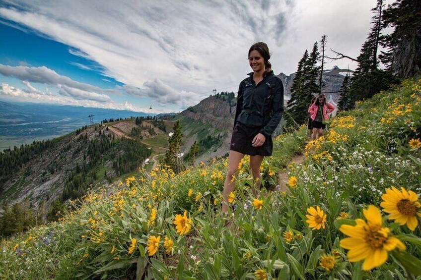 Hiking trails access stunning views