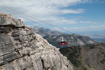 Jackson Hole Summer Aerial Tram Sightseeing