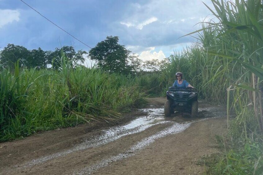 Atv Jungle Ride from Montego Bay with Transportation 