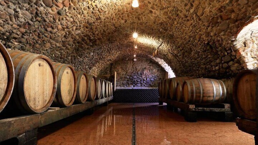 Tour and Tasting of Sparkling Wines in Valeggio