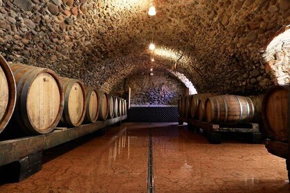 Tour and Tasting of Sparkling Wines in Valeggio