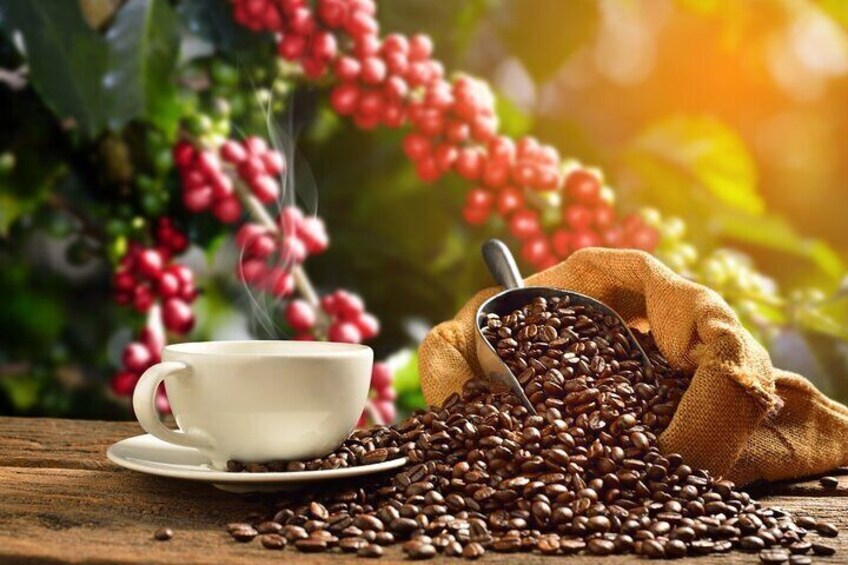 Hacienda Doka Coffee Beans