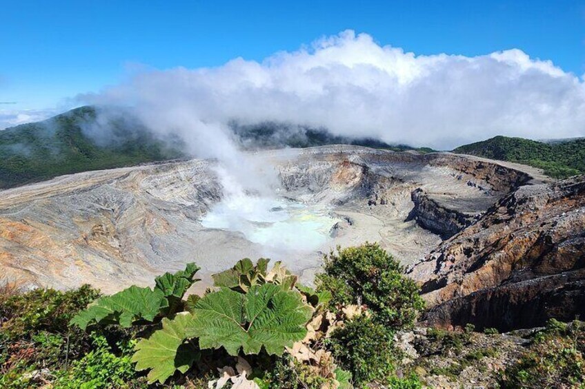 COMBO TOUR Coffee, Poas Volcano and La Paz Waterfall Gardens