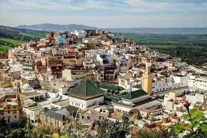 Private Excursion to Volubilis Meknes and Moulay Idriss from Fez