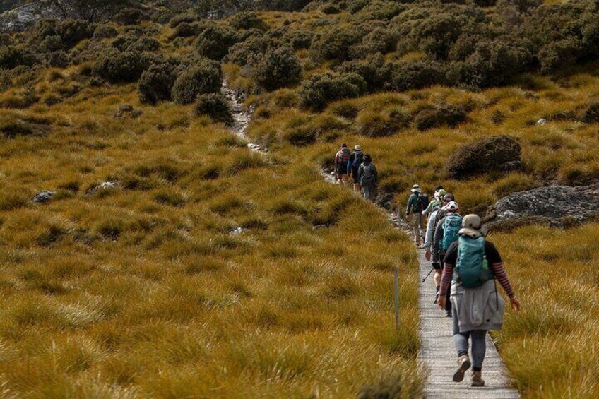 wulinantikala / Cradle Mountain Hiking Tour - 4 Days