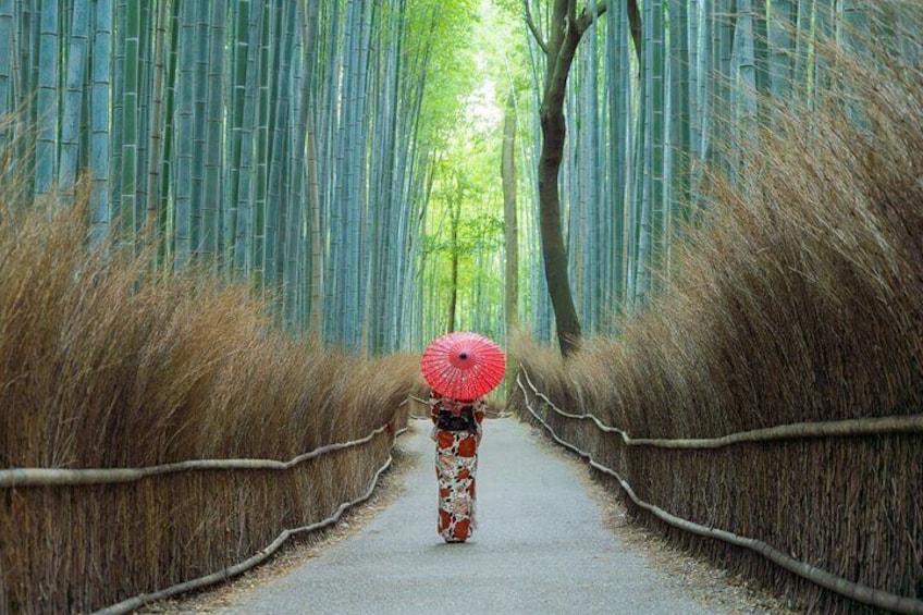 Arashiyama Walking Tour - Bamboo Forest, Monkey Park & Secrets