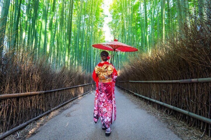 Arashiyama Walking Tour - Bamboo Forest, Monkey Park & Secrets