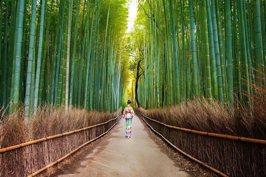 Bamboo forest, monkey park and much more. The best Arashiyama walking Tour. 