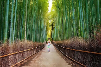 Kyoto Arashiyama Walking Tour - Bamboo, Monkeys, Temple & Secrets